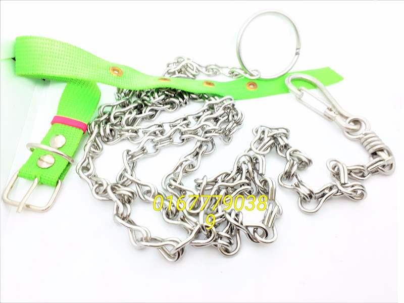 dây xích chó inox
