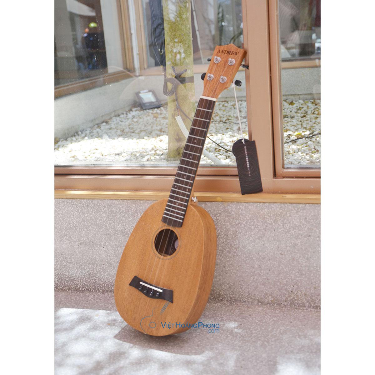 ĐÀN UKULELE CONCERT ANDREW MZ-655