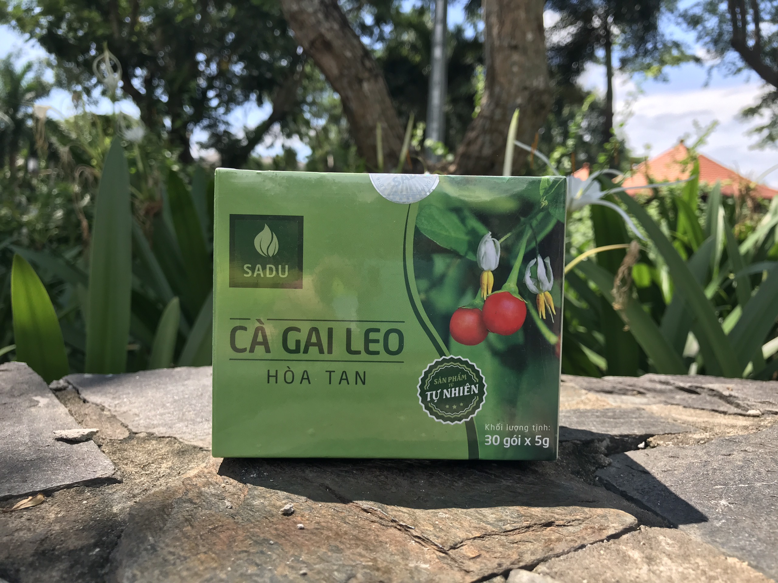 [HCM]TRÀ CÀ GAI LEO HOÀ TAN- GIẢI ĐỘC MÁT GAN