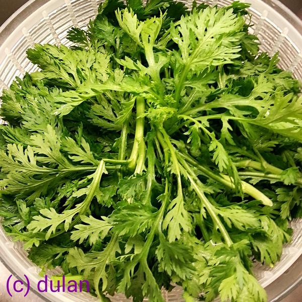 Sale Hạt giống rau cải cúc nếp
