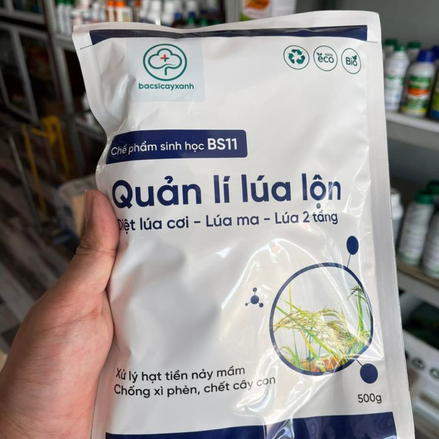 Chế phẩm sinh học BS11 xử lý lúa lộn, lúa cơi, lúa ma, lúa 2 tầng, chống xì phèn, chết cây con - Gói 500g