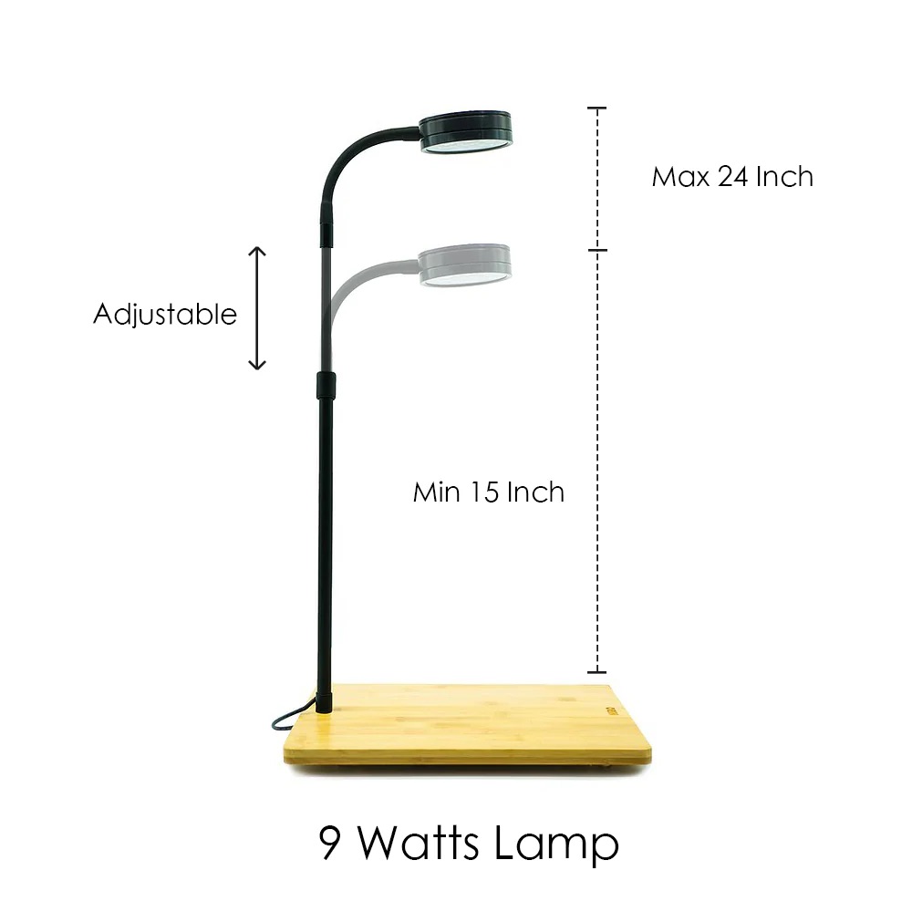 Đèn led rọi đế gỗ cho bể thủy sinh, bể cá để bàn
