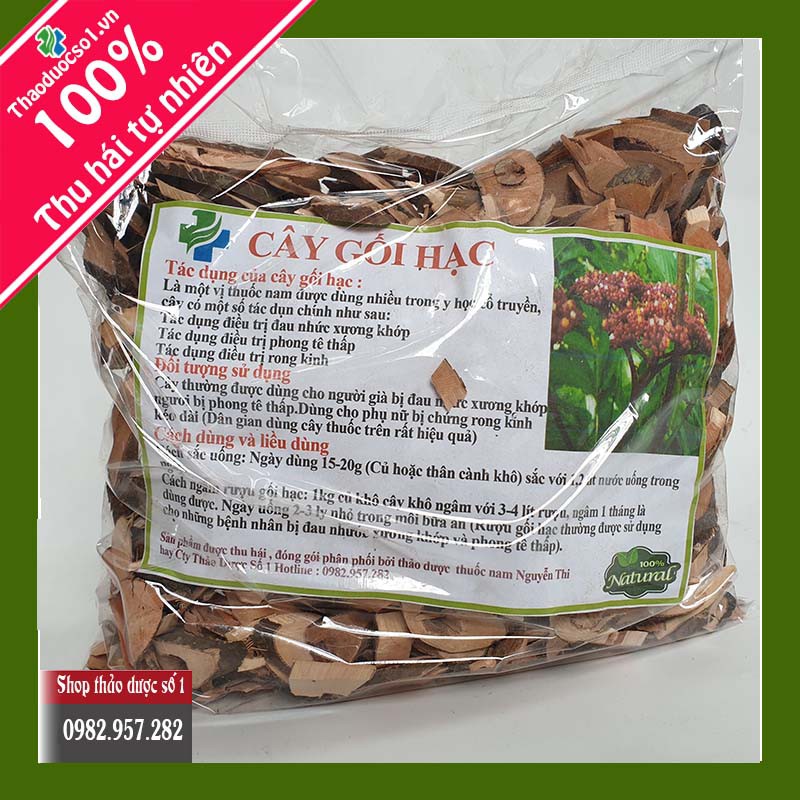 Cây Gối Hạc -1kg