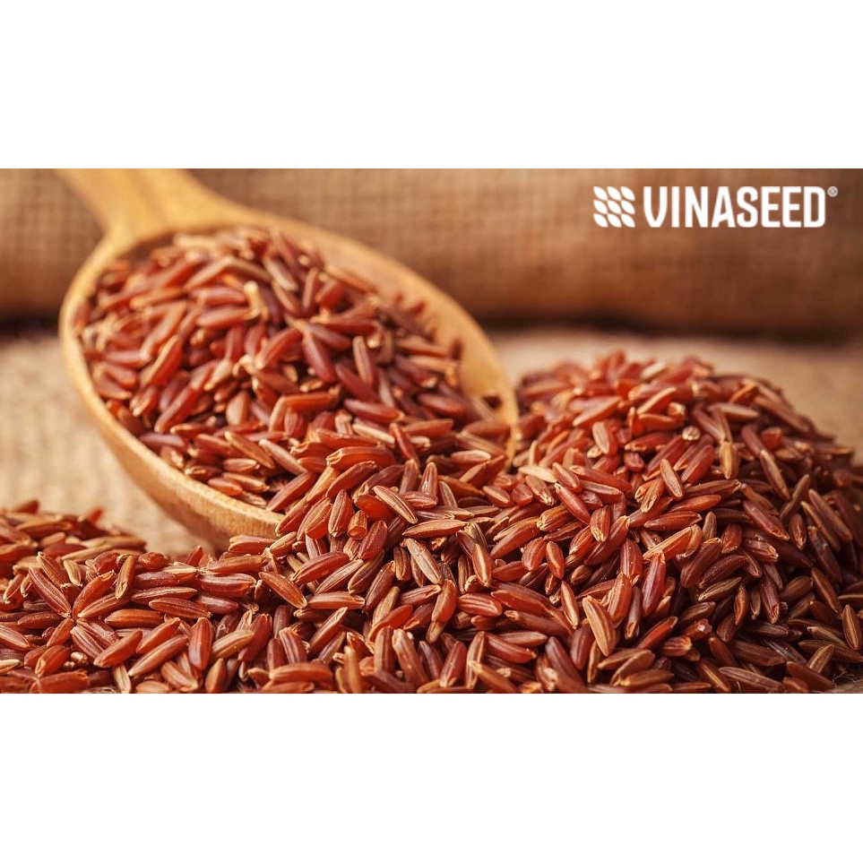 (Chính hãng) Gạo Lứt Huyết Rồng Phúc Thọ - Vinaseed (1kg)