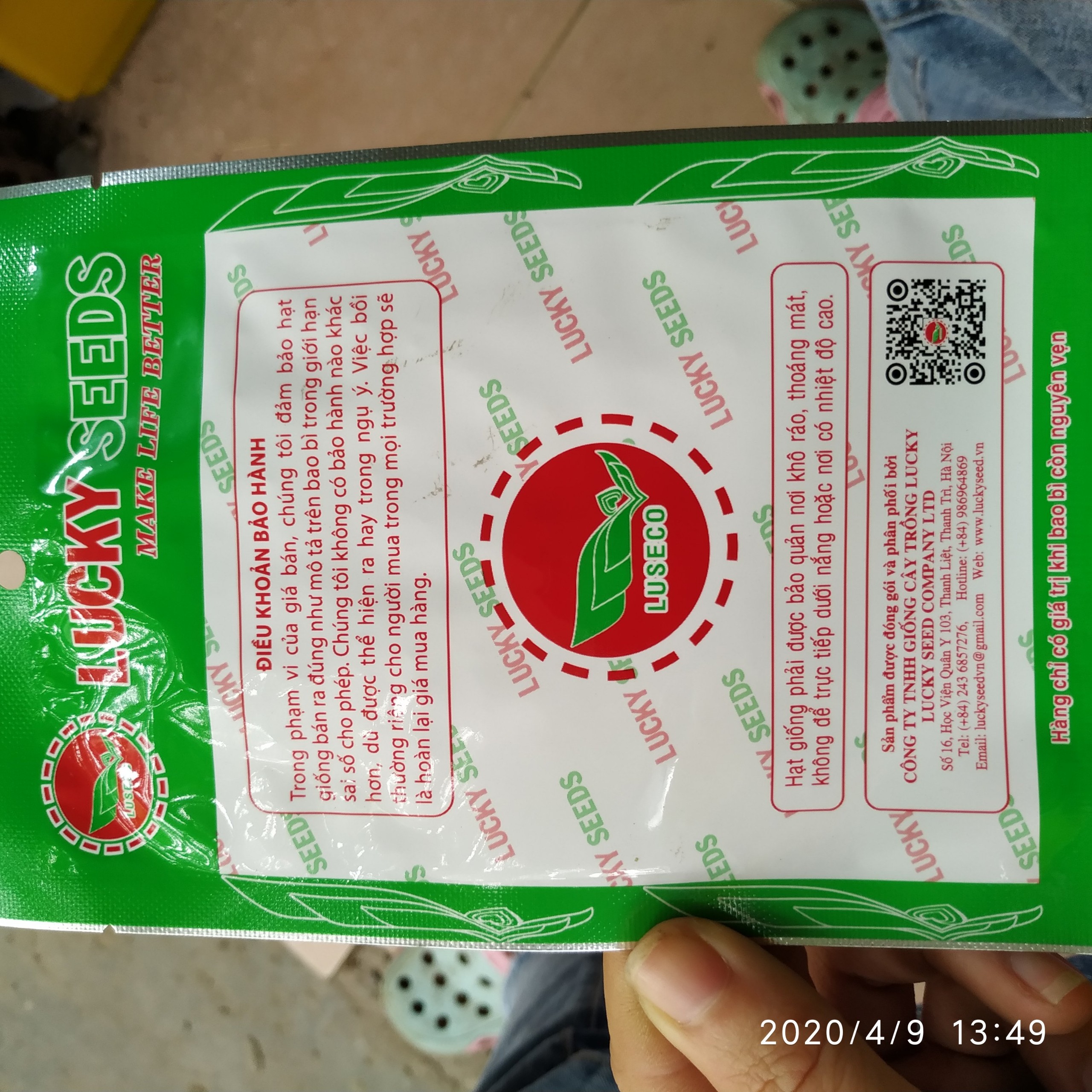Hạt giông rau má