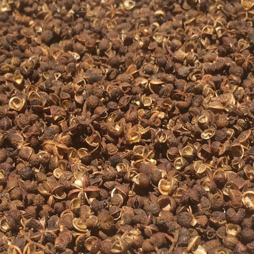Hạt Mắc Khén Túi 150G Đặc Sản Tây Bắc