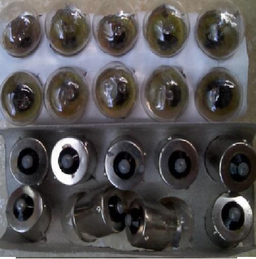 Bóng Đèn Sợi Đốt 24V 5W Đuôi Gài 15mm Tiếp Xúc Đơn BA15S 15x33