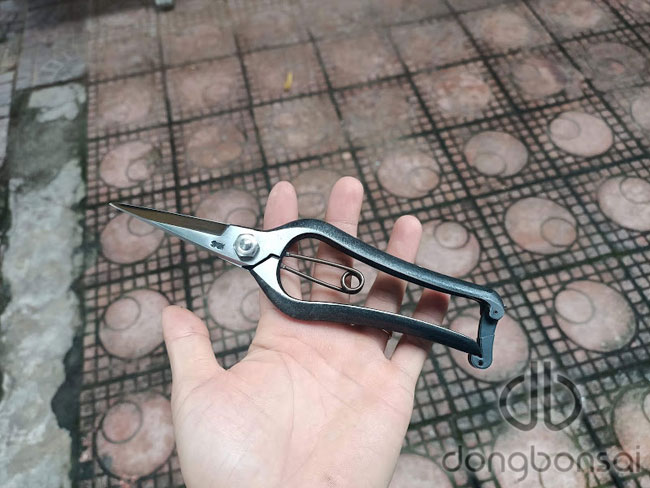 Kéo tỉa Onoyoshi No.TJ035
