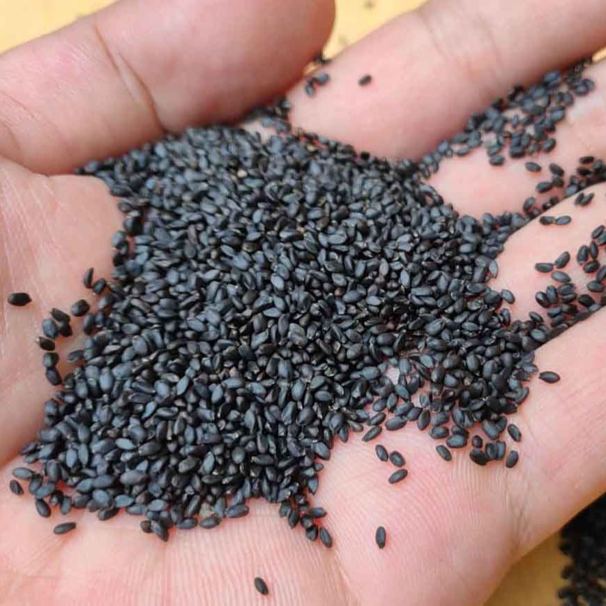 Hạt É Sạch Loại 1 Hũ 500g Thương Hiệu Monview