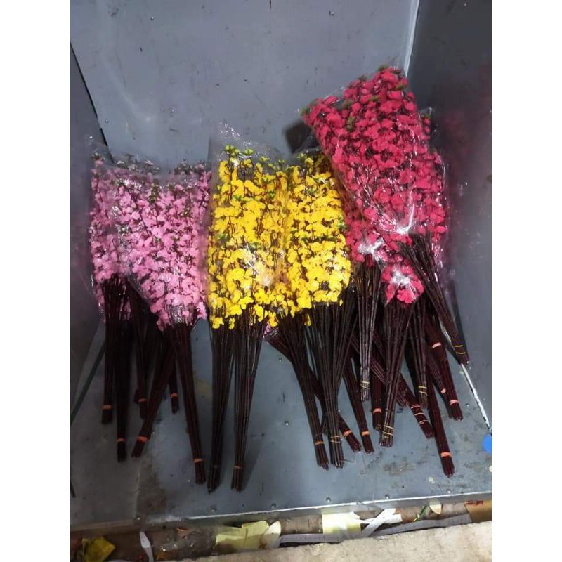 [HCM]10 cành bông hoa đào hoa Mai