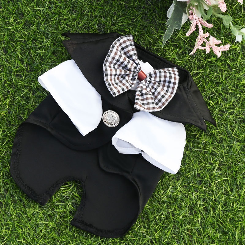 Áo vest và váy đám cưới dành cho chó mèo
