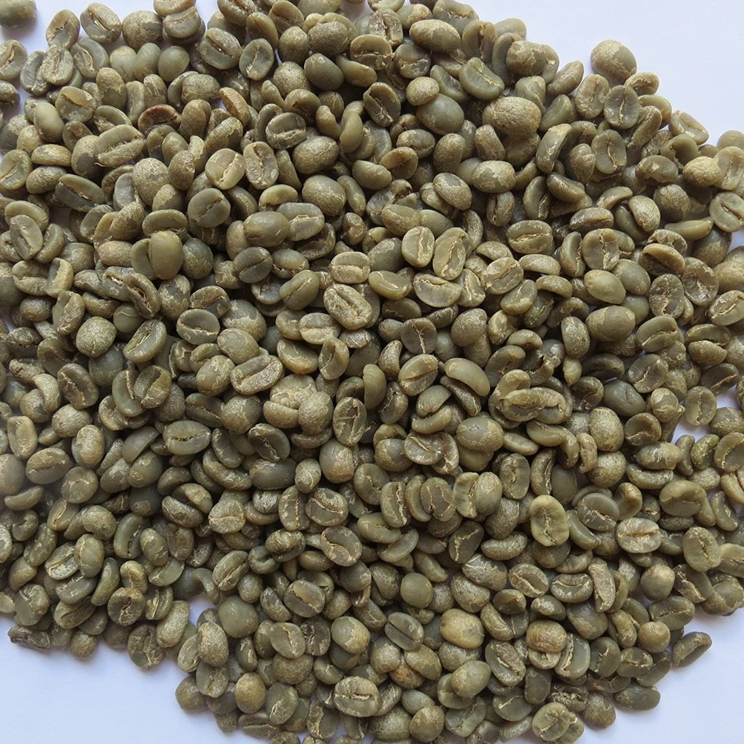 [Túi 1kg Cà Phê Nhân Xanh] Cà phê Nhân Sống Robusta Chưa Rang