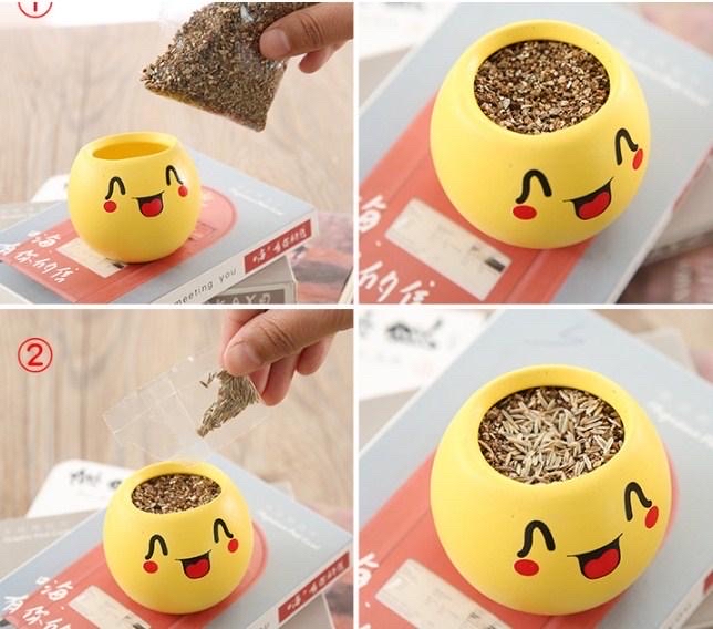 Chậu hạt giống mini để bàn hình Mặt cười