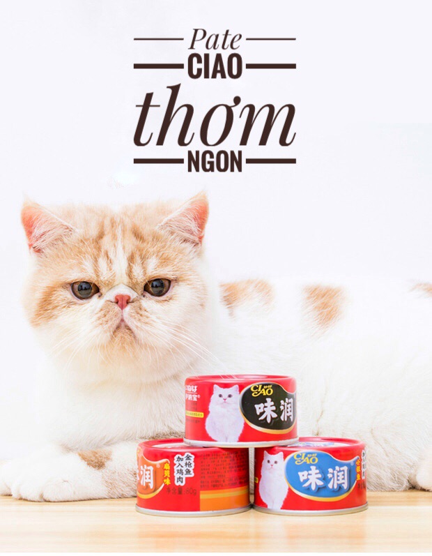 Pate hộp cho mèo Ciao 80g nhiều vị