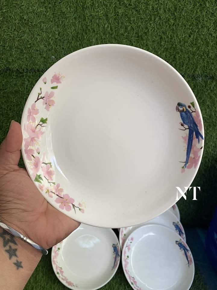 Combo 6 dĩa sứ cao cấp in hình viền hoa lá