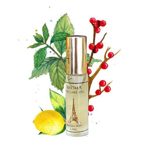 Tinh dầu nước hoa Pháp Aroma dạng lăn mini 12ml dành cho các bạn nam nữ đi học đi làm và cả đi chơi