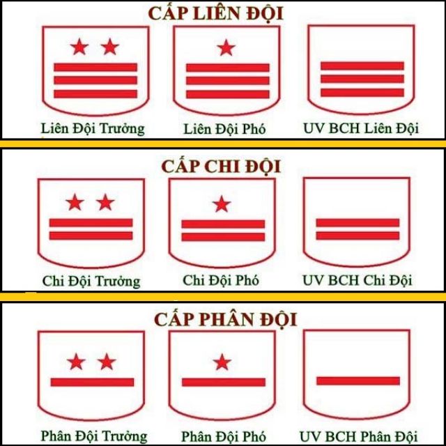 Cấp hiệu chỉ huy đội