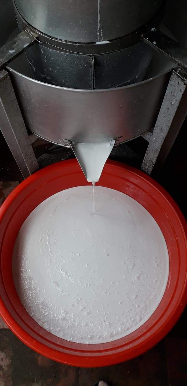 Bánh tráng mỹ lồng 10 cái to