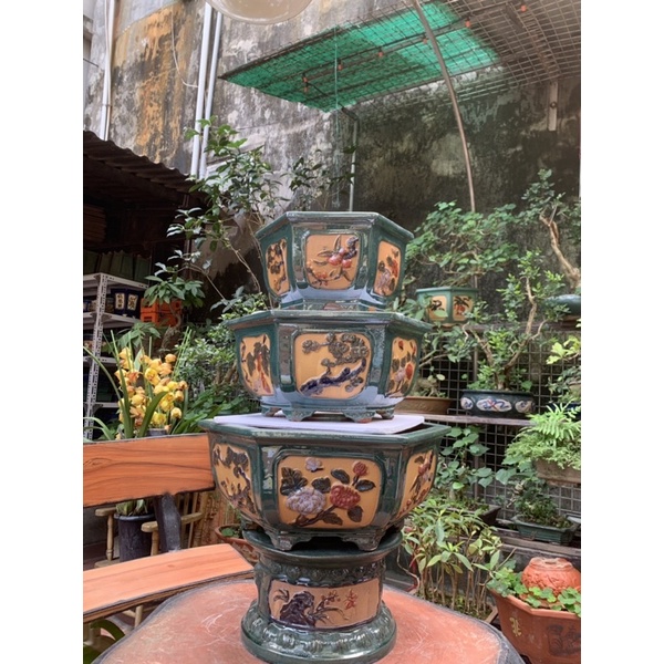 Chậu lục giác trồng cây bon sai- ( có hỗ trợ vc cho khách => nhắn tin cho shop )