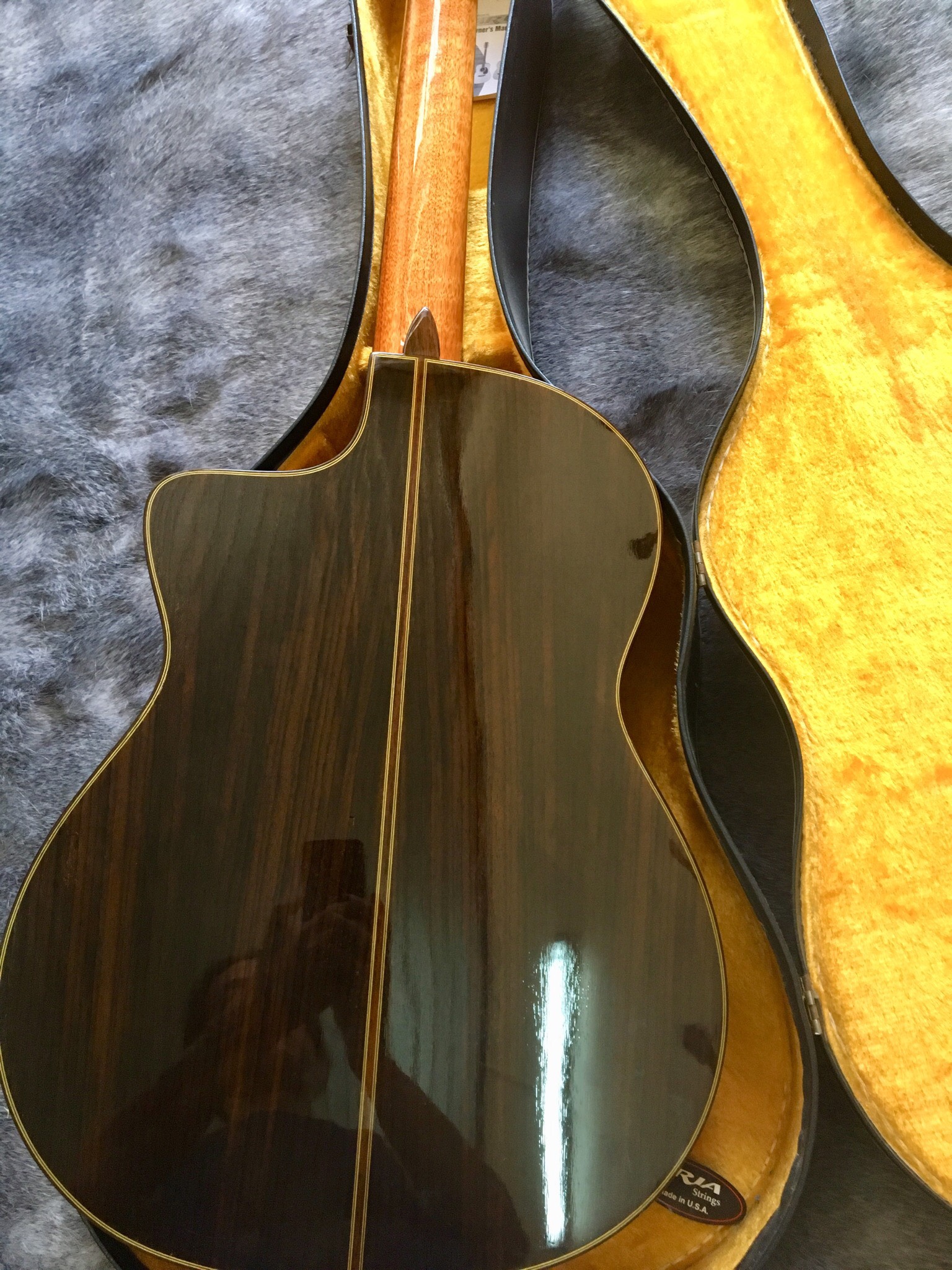 Guitar Aria ew 60