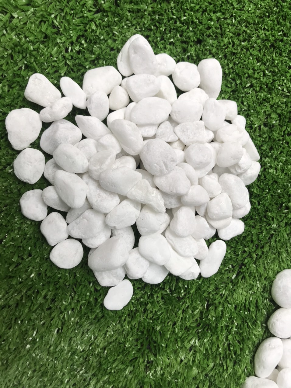 3kg sỏi trắng bể cá