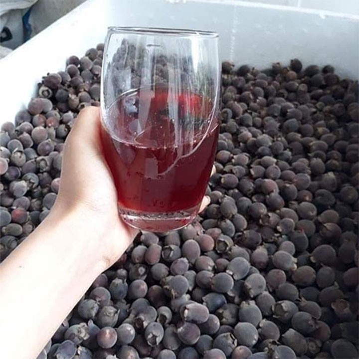 quả sim rừng khô 1kg
