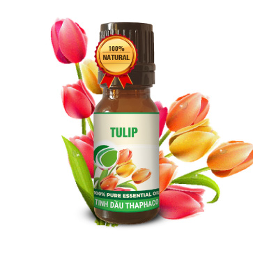 Tinh Dầu Tulip 10ml Thơm Mát Nguyên Chất Thaphaco