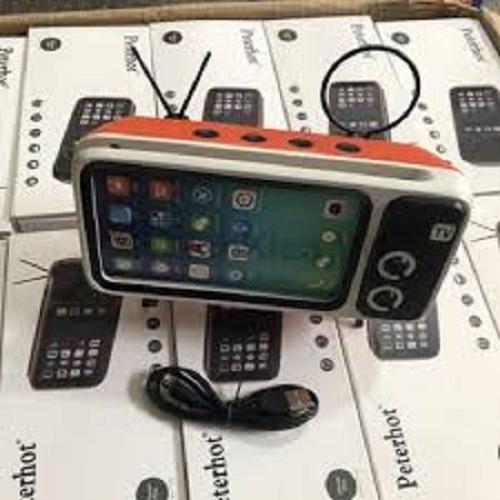 LOA BLUETOOTH PTH800 (SPEAKER BLUETOOTH PTH-800)