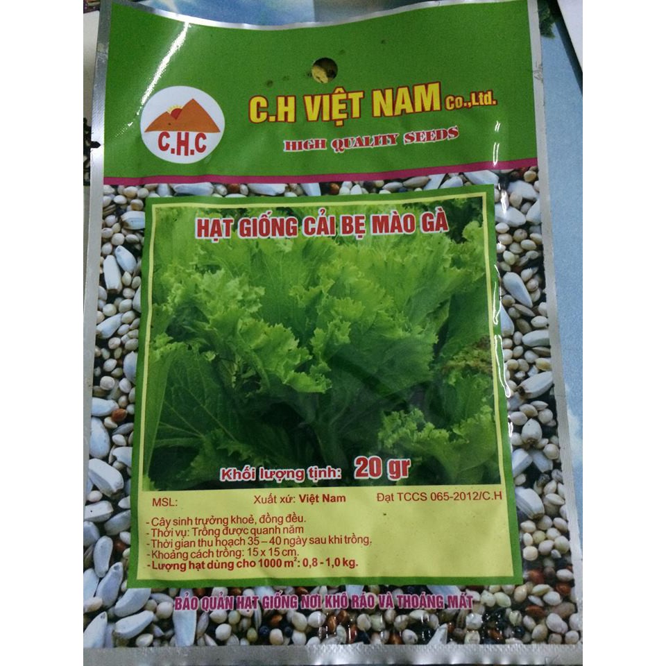 hạt giống rau cải bẹ