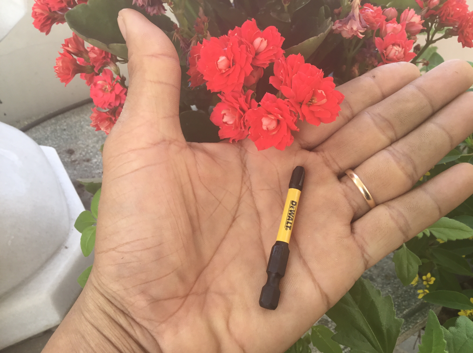 [HCM]Mũi Vít DeWalt Chính Hãng ph3-58mm