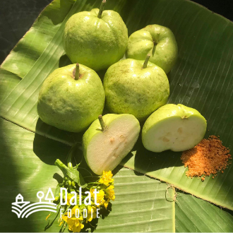 Ổi Nữ Hoàng/Ổi Không Hạt Cắt Sẵn Hộp 400G - [Giao hàng ngay tại TPHCM]