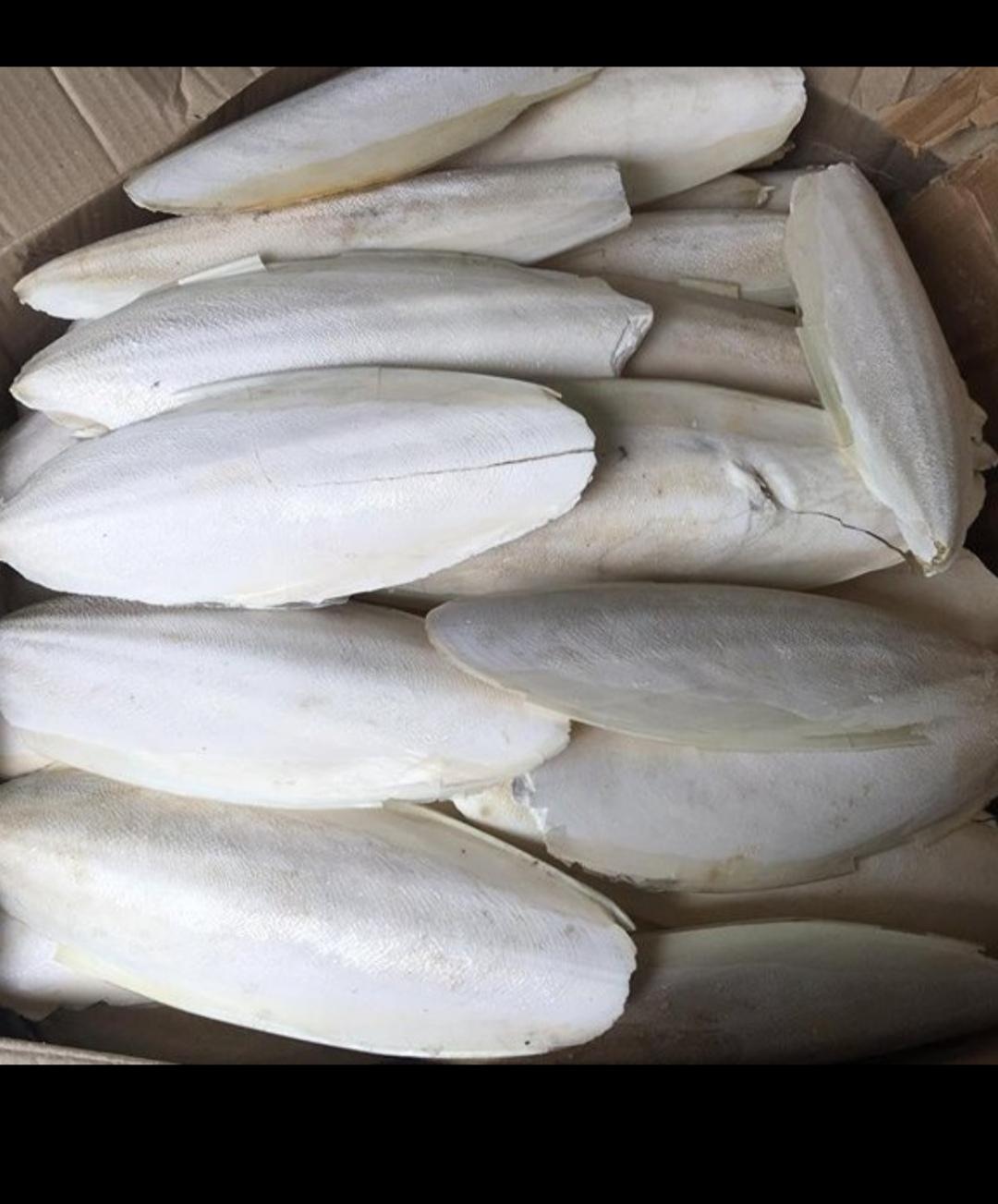 1kg Nang Mực { Mai Mực}