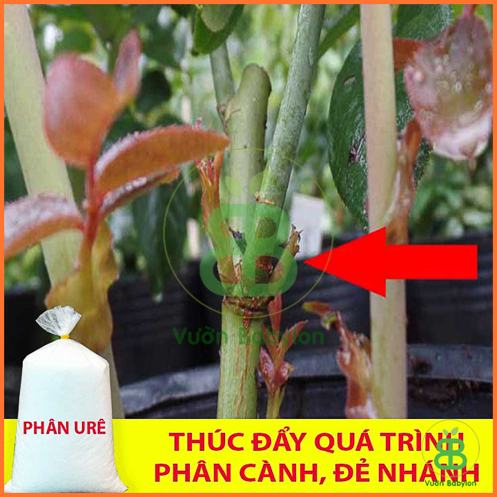 Phân Ure (Đạm) Phú  Mỹ 1kg
