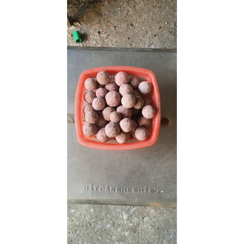 Combo 10kg hạt aluwat sứ nung đá vôi