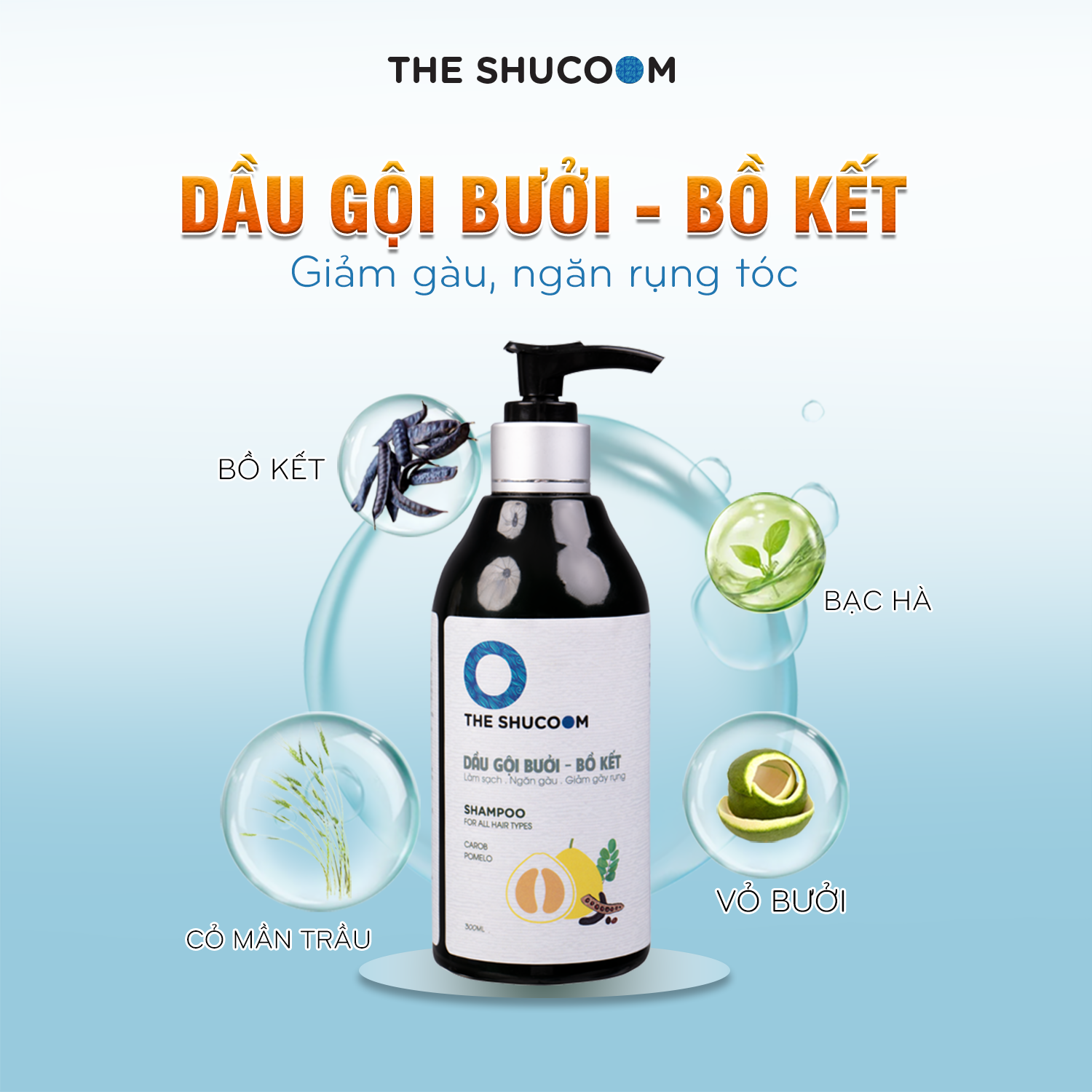 Dầu gội bồ kết The Shucoom ngăn ngừa gãy rụng tóc giảm gàu, dầu gội thảo mộc thiên nhiên