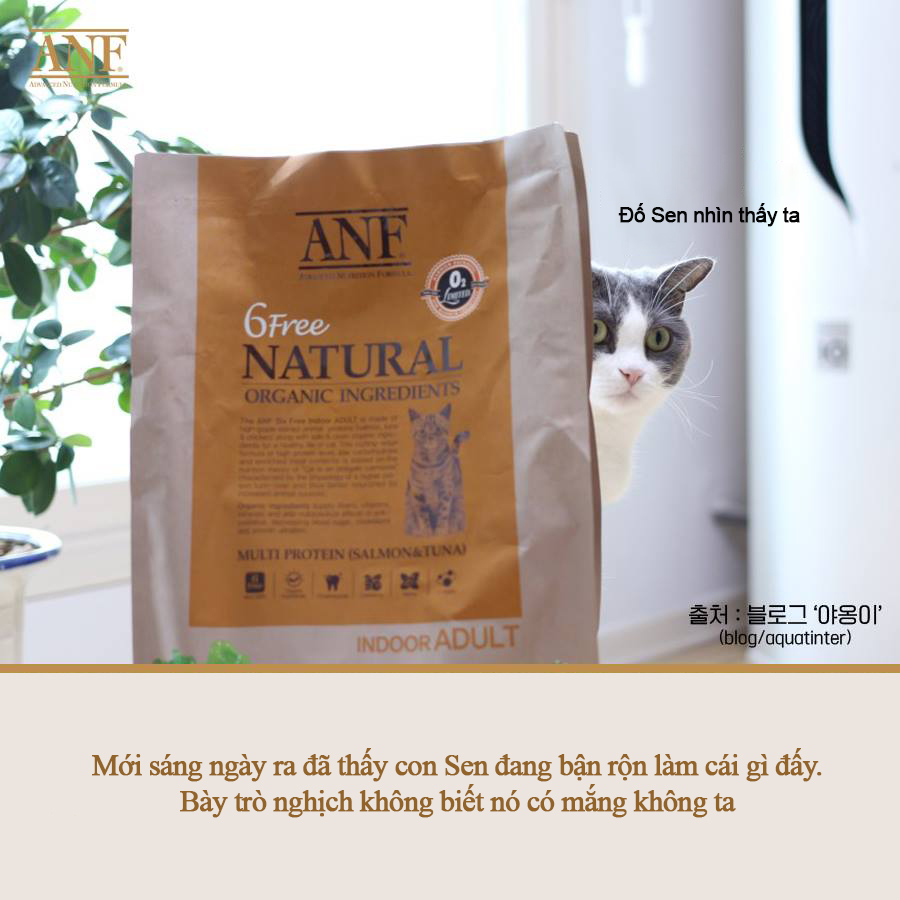 Thức ăn mèo ANF (Nguyên seal 1,6kg & 5,6kg) nhập khẩu chính hãng