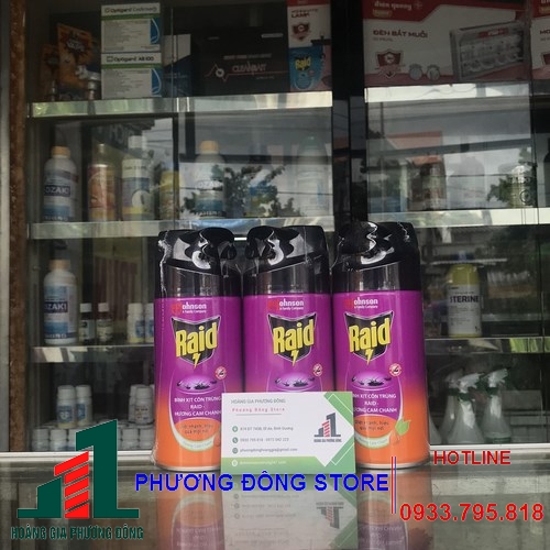 Bình xịt muỗi và côn trùng Raid - Chai 300ml