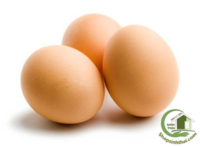 Trứng gà giả làm dấu ổ gà nòi ( 1 quả )