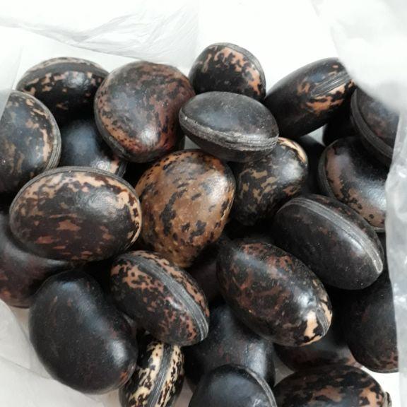set 500g hạt đậu lào