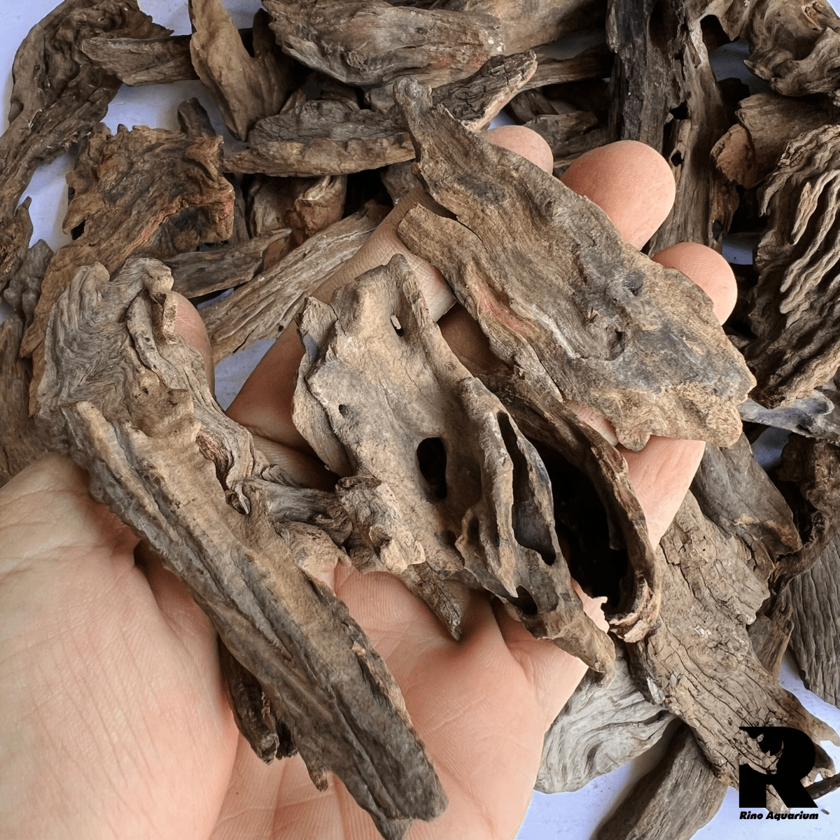 (500g) Lũa Săn Đá Vụn, Mini Size Trang Trí, Thiết Kế Layout Bể Thủy Sinh