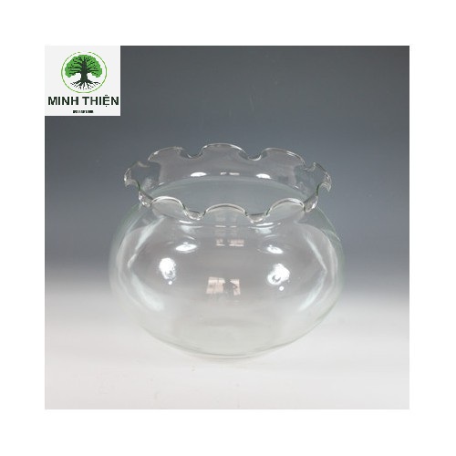[HCM]Bể Cá Mini Thủy Tinh Hồ Cá Miệng Bèo 10cm x12cm - B3