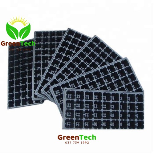 Khay ươm hạt 32 lỗ, 50 lỗ, 72 lỗ, 105 lỗ