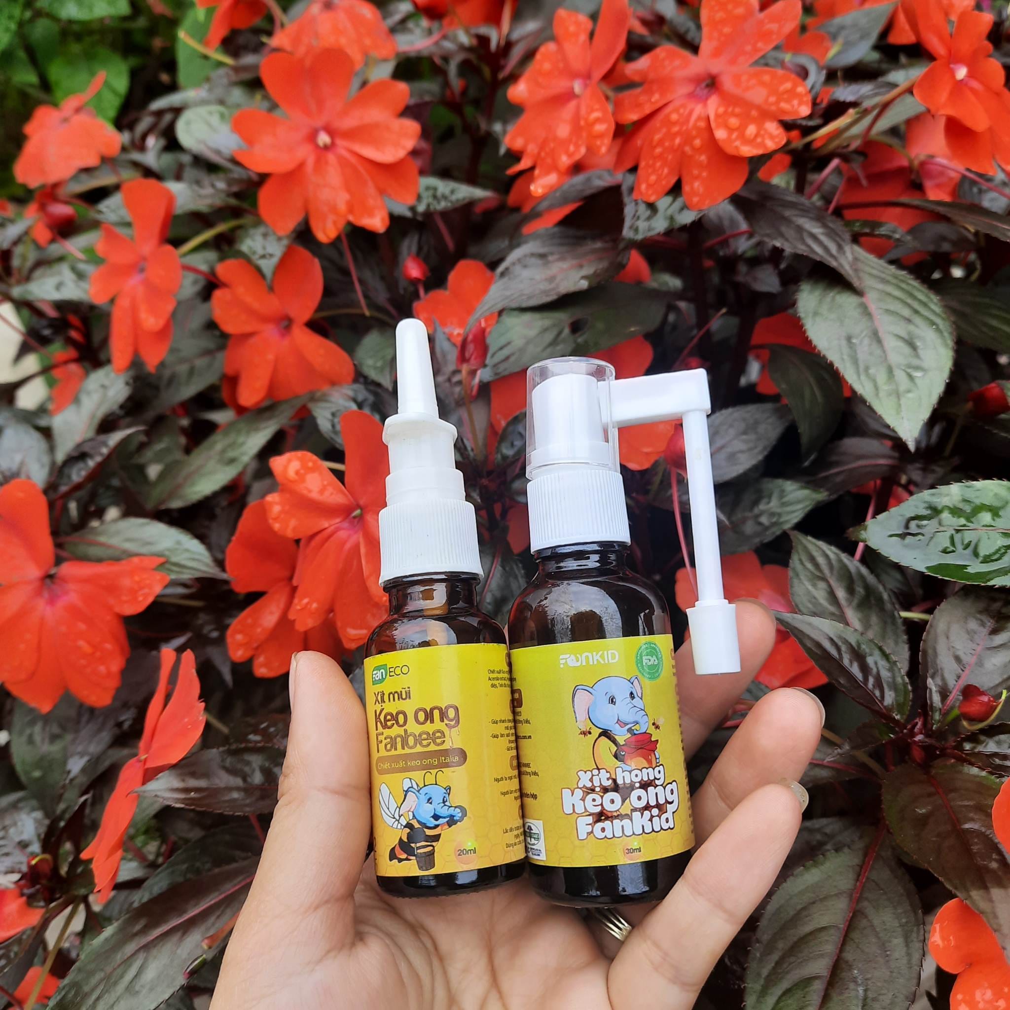 XỊT HỌNG KEO ONG 30ml