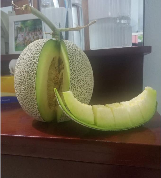 Combo of 2 Packs of Melon Seeds - (Cantaloupe - Super Sweet Pear Melon)