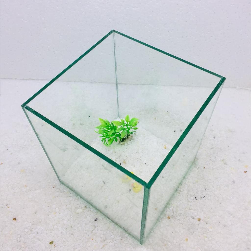 Bể cá mini để bàn , bể cá thủy sinh mini 18x18x23cm