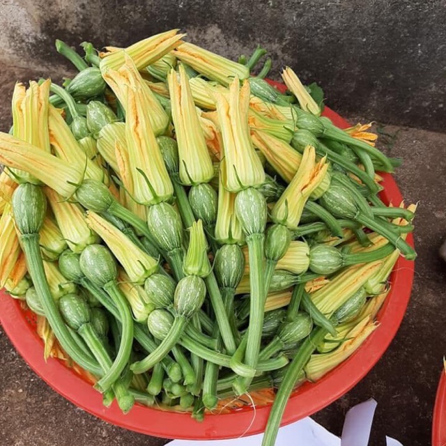 Gói 1g hạt giống Bí Siêu Nụ