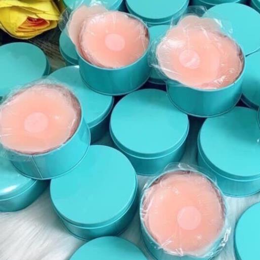 Hộp 10 Miếng Dán Nhũ Hoa Silicon (Hộp Xanh)