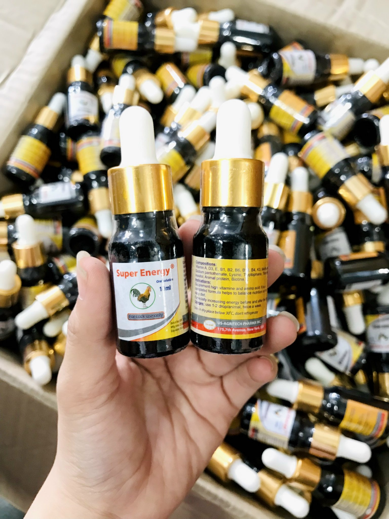 SUPER ENERGY - Tr.i gà bị lỏn lẻn , không cự