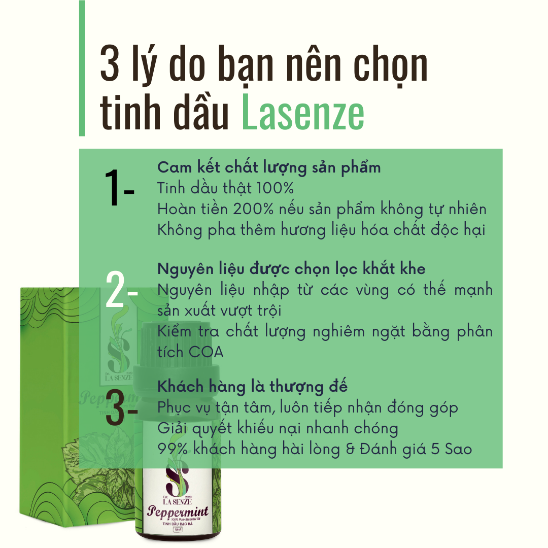 Tinh dầu Bạc Hà (Peppermint) - 100% Natural