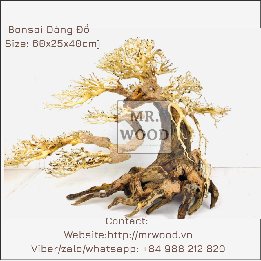Lũa Bonsai Dáng Đổ Cho Hồ Thủy Sinh- Xưởng Mr Wood